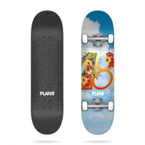 Commander Vite Hawaii 8,25" x 31,85" Plan B Complet