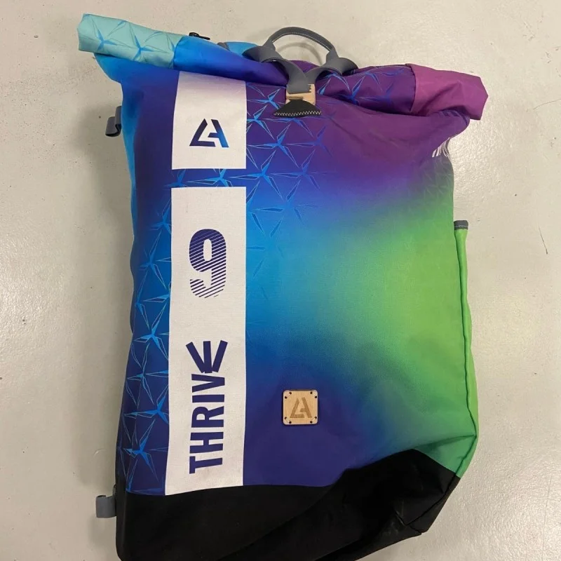 Promotion Saisonnière Aile Kitesurf Occasion Harlem THRIVE 2025 9m (DEMO)