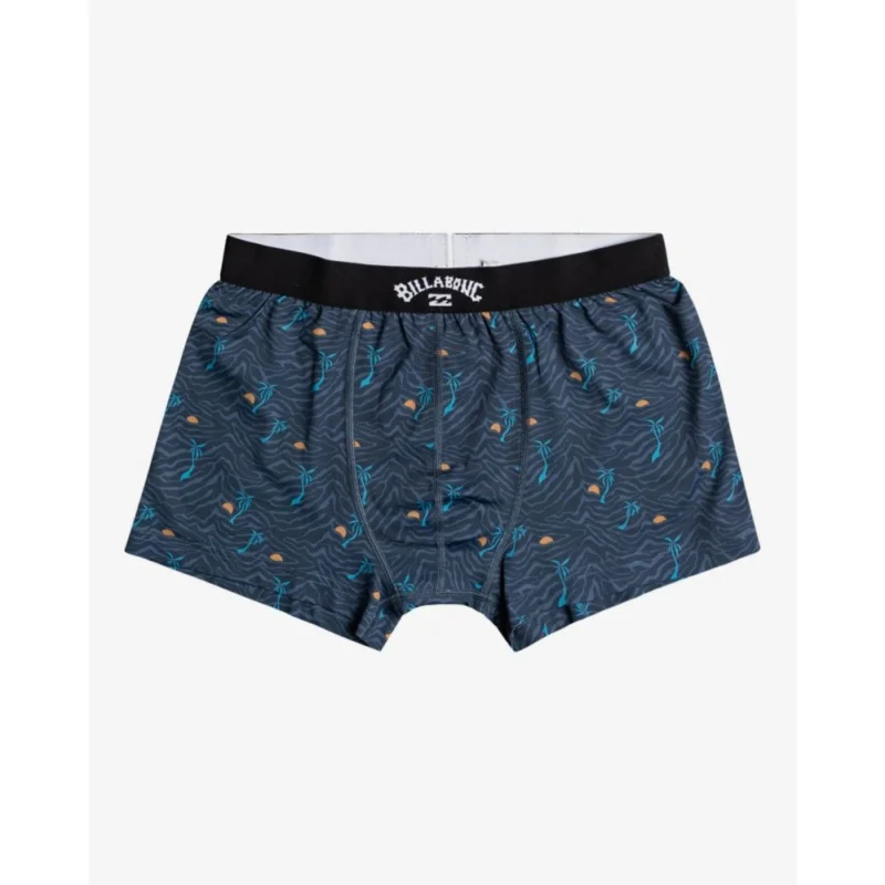 Nouveauté CALÇONS BILLABONG RON UNDERWEAR