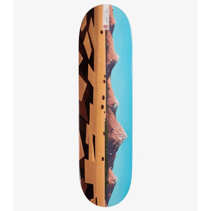 Dernière Chance PLANCHE DE SKATE ELEMENT LANDSCAPE NA 8.25"