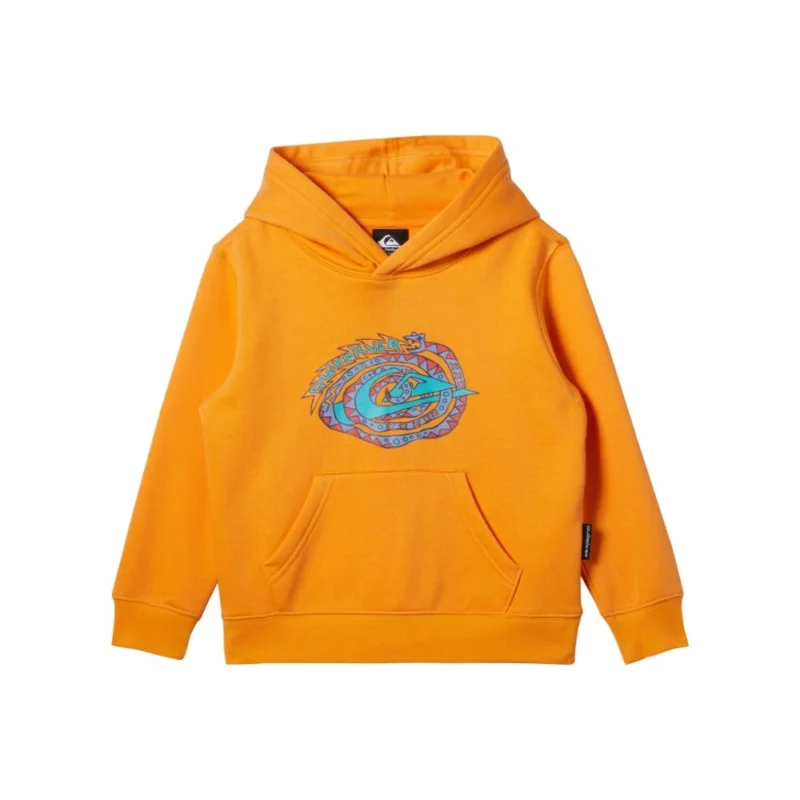 Acheter Direct CAPUCHE QUIKSILVER GRAPHIC HOODIE NIÑO