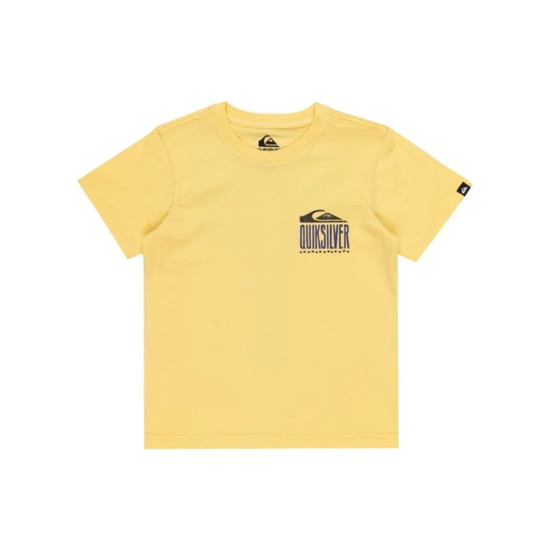 T-SHIRT QUIKSILVER QS WORLD FORCE BOY Top Vente