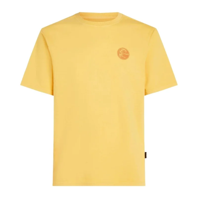 T-SHIRT O‘NEILL O‘RIGINALS VINTAGE GRAPHIC Usine Directe