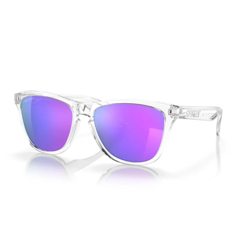 LUNETTES OAKLEY FROGSKINS Jusqu'à Épuisement Des Stocks