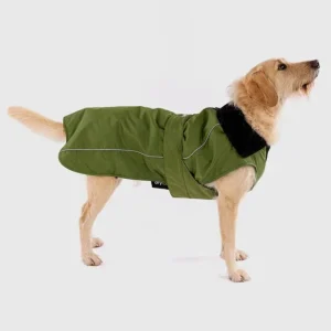 Dog Coat - Veste pour chien Vert / Noir Satisfait Ou Remboursé