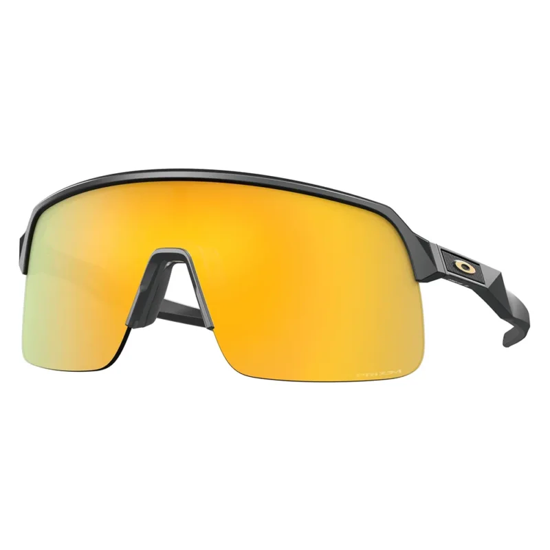 Promotion Saisonnière Oakley Lunettes de soleil Sutro Lite Prizm