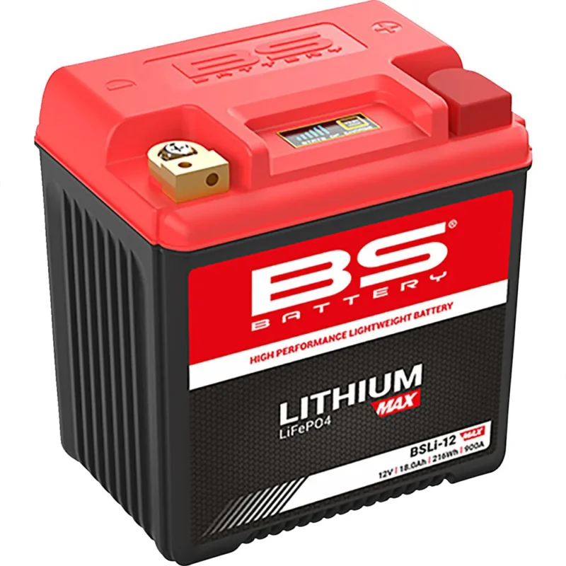 Top Vente Bs Battery Batterie au lithium BSLi-12 Max LiFePO4