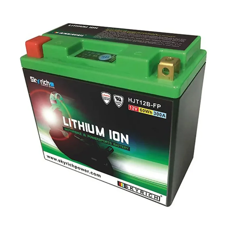 Skyrich Batterie au lithium HJT12B-FP Offre Du Jour