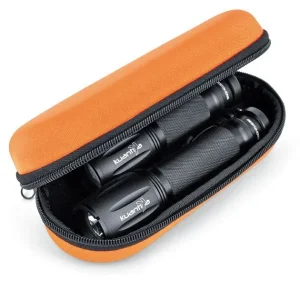 Best Divers Oyster Box L Livraison Express