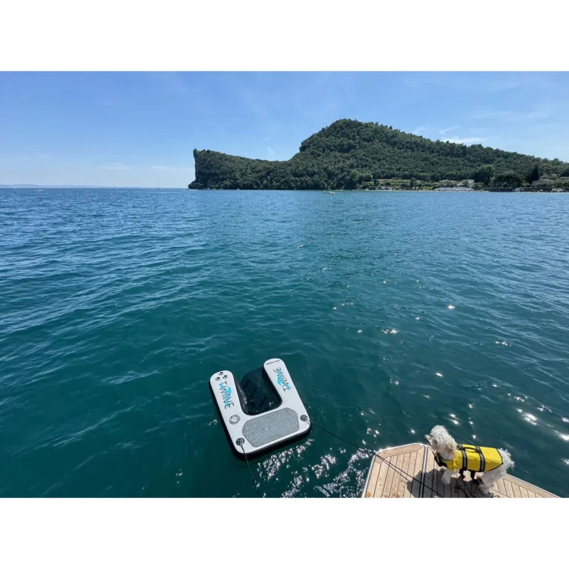 Trem Inflatable Dog Ramp T-WAVE Prix Choc