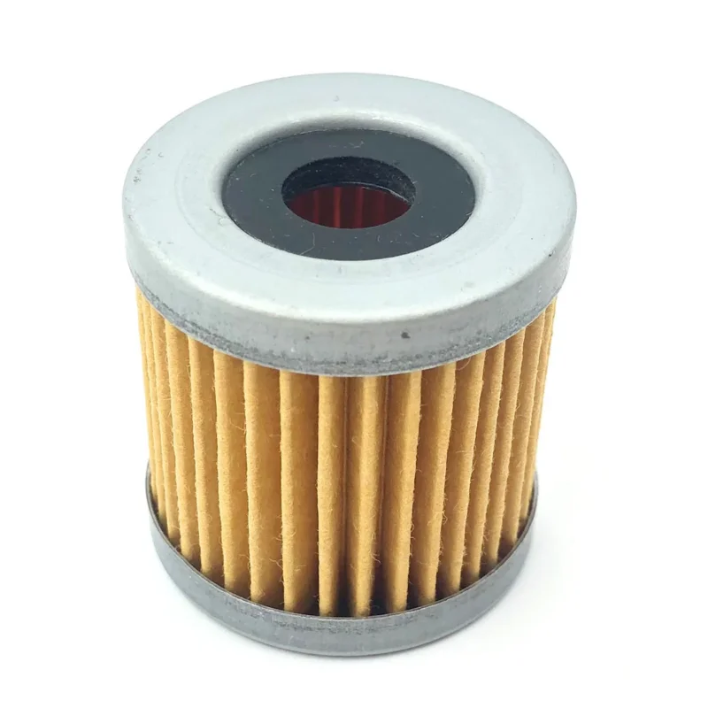 Gasoline filter for Honda engines Expédition Rapide