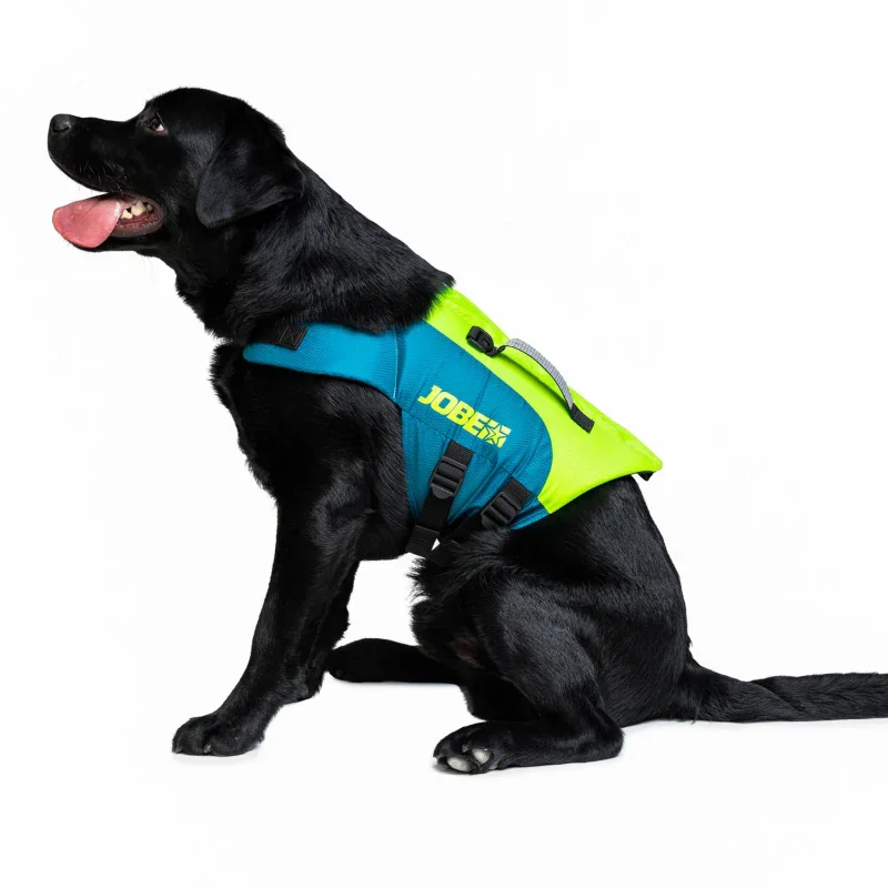 Réduction Jobe Dog Life Jacket – Lime Green