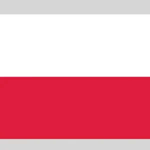 Flag 20x30 Poland Achat Immédiat
