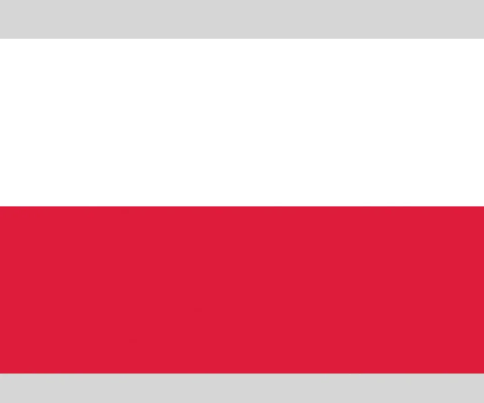 Flag 20x30 Poland Achat Immédiat
