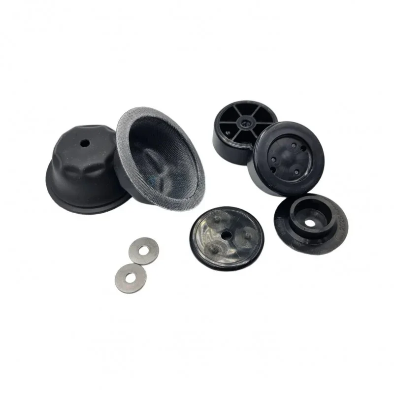 Flojet Diaphragm Kit N5100 Viton Certifié
